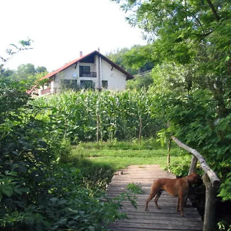 Erdoalja-padlaster *