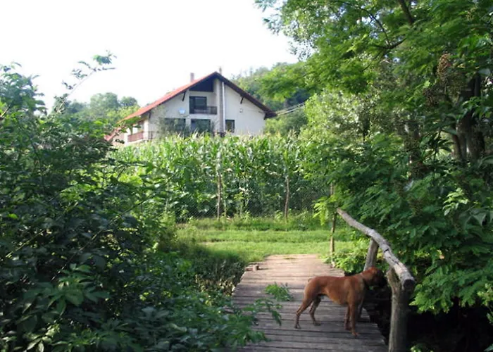 Erdoalja-padlaster *